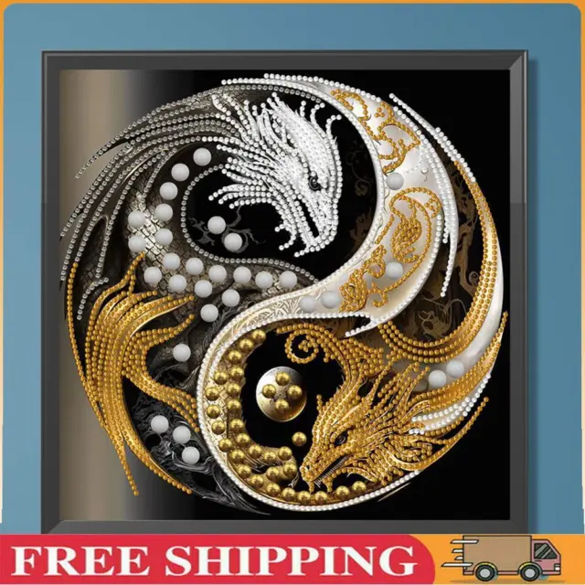 5D DIY Partial Special Shaped Drill Diamond Painting Kit Dragon Decor(LY062) ~