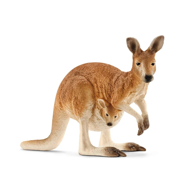 Schulihi Wildlife Cungaloo Figure 14756