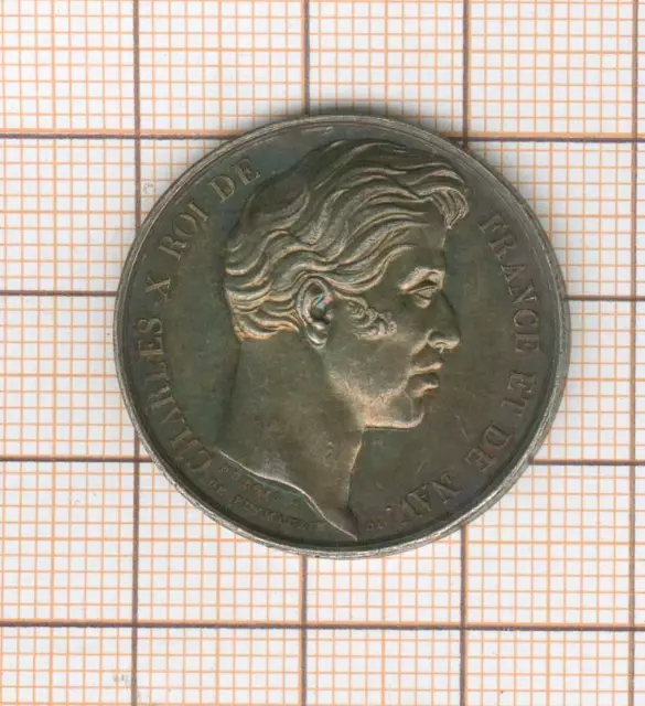 Douai Medaille Silber Großartig Patina, Par Puymaurin Charles X Bis Aus 1827