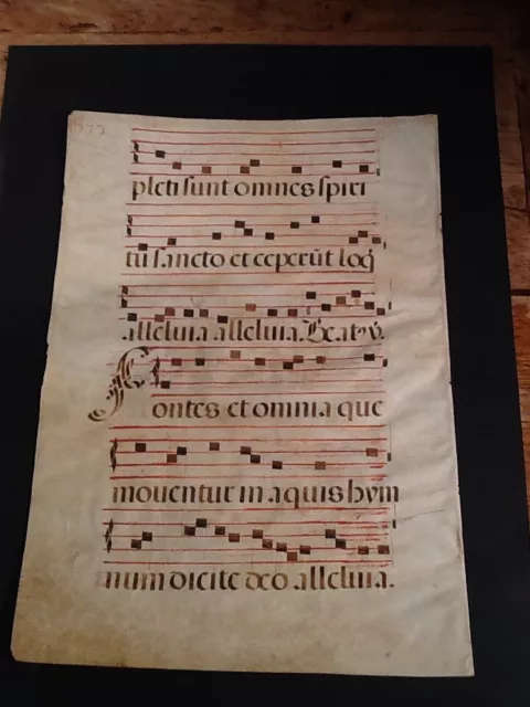 Bibelseite PERGAMENT HANDSCHRIFT ANTIPHONAR NOTENBLATT um 1500