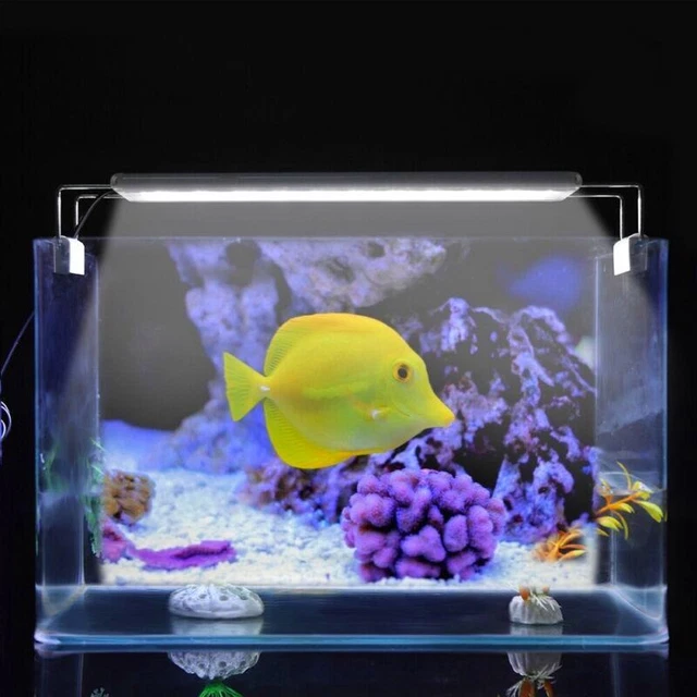 Aquarium Mini 8W Light – Extendable Clamp-On Lamp for Fish Tank