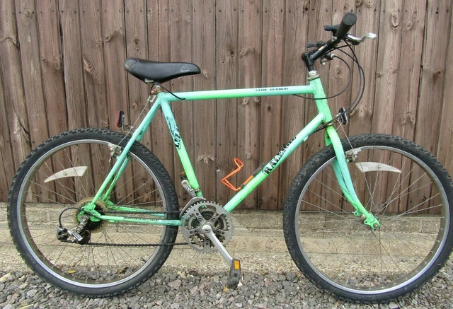 RALEIGH LIZARD MENS Mountain Bike Vintage Collectable Gents