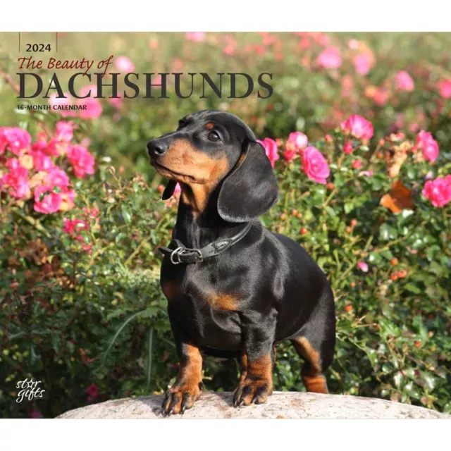 The Beauty of Dachshunds | 2024 14x24" Monthly Deluxe Wall Calendar