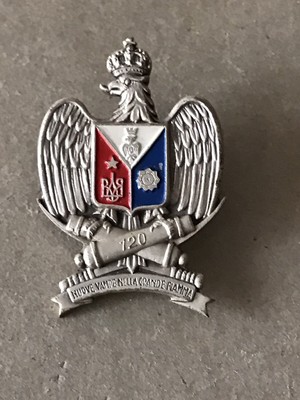 CREST DISTINTIVO 120° REGGIMENTO DA ARTIGLIERIA SEMOVENTE "PO" ESERCITO ITALIANO 