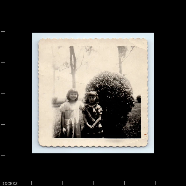 Old Square Photo CUTE GIRLS STANDING IN YARD BY BUSH