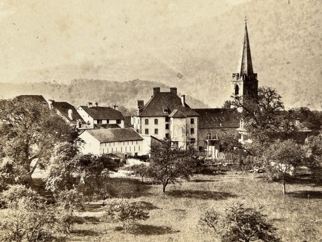 Tirage Albuminé Ancien Suisse Bex Dent Du Midi J.Jullien Circa 1880 - 12x18.5 Cm - Photo Vintage