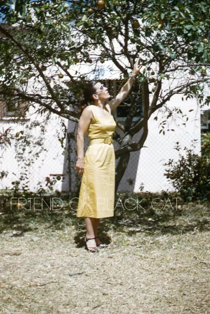 Kodak Slide 1950s Red Border Kodachrome Pretty Woman Yellow Dress Picking Fruit