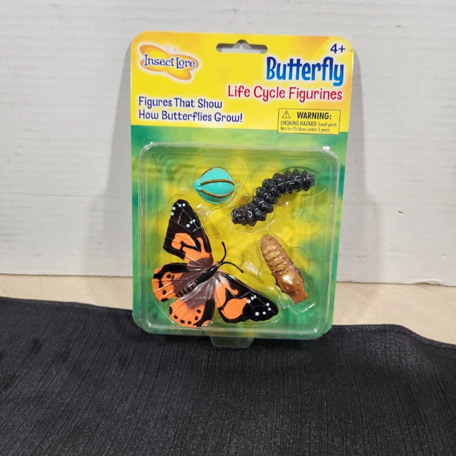 INSECT LORE BUTTERFLY Life Cycle Stages Model Science Bug Nature