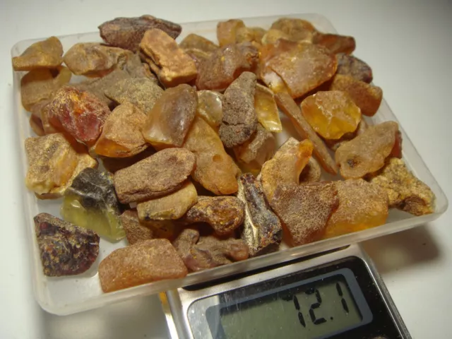 AMBER / raw baltic stones bernstein natural bursztyn baltycki genuine 琥珀 (e665