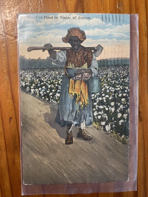 Black Americana Postcard Cotton Field