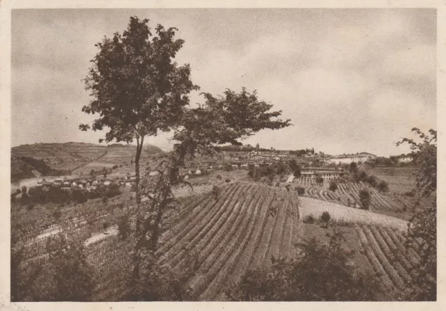 Rara Cartolina Fabiano Monferrato Panorama Viaggiata 1952