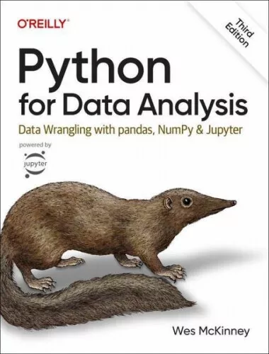 Python for Data Analysis|Wes McKinney|Broschiertes Buch|Englisch