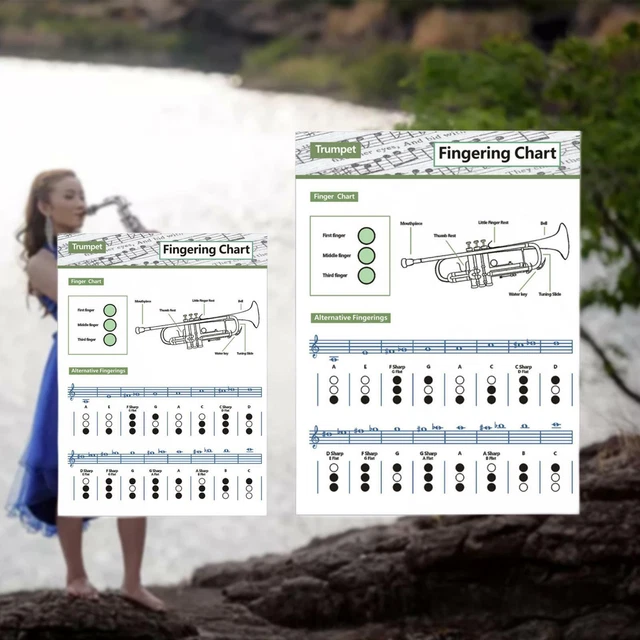 COMPACT TRUMPET Chart Fingering Chart for Beginners Learning Material £ ...