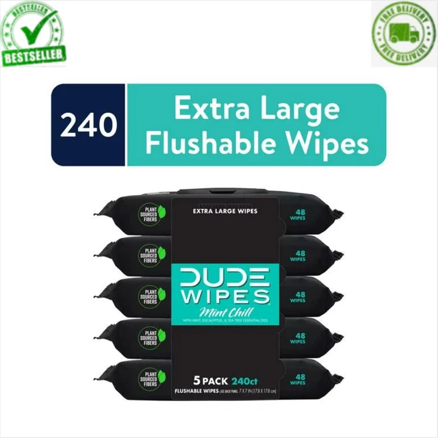 DUDE Flushable Wipes, XL Wet Wipes for At Home Use, Mint Chill, 48 Count, 5 Pack