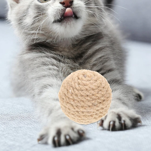 4 Pcs Cat Training Toy Catnip Cat Scratch Indoor Toys Sports Toys Kitten 11