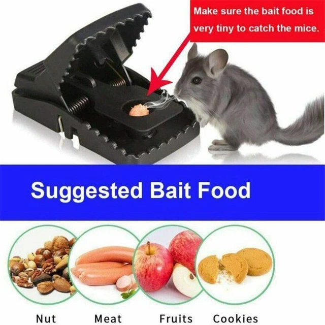 Best Small Mouse Reusable Squirrel Traps That Work Mice Traps 4x Mouse Trap