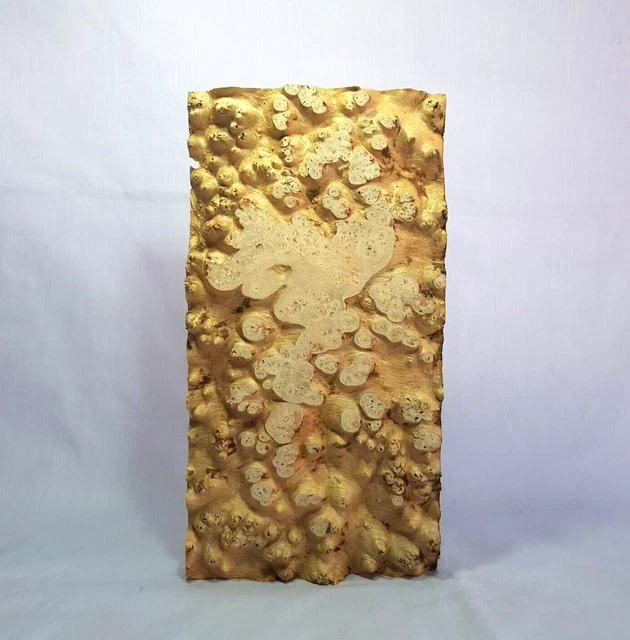 6 4/8"" X 12 2/8"" X 1"" Amboyna Burl borde vivo carpintería hágalo usted mismo materiales de proyecto