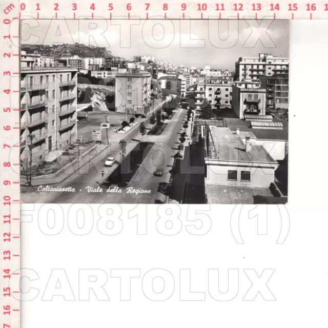 F8185 Caltanissetta 1963 Citta Viale Regione Viagg+F.bollo Ben Tenuta