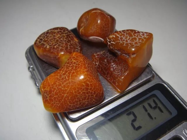 AMBER / raw baltic stones bernstein natural bursztyn POLISHED genuine 琥珀 (e764