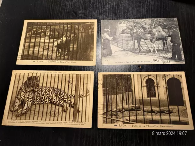 lot 4 cartes postales anciennes parc de la tête d'or zoo Lyon 1937