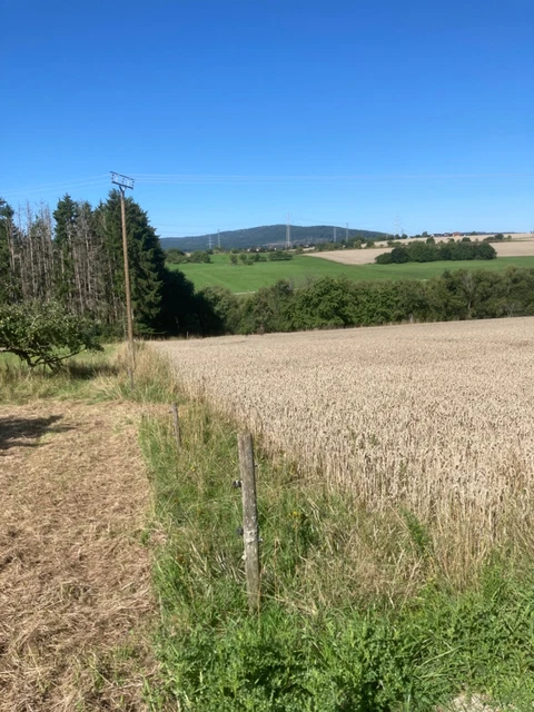 Ackerland/Wiesengrundstück  zu verkaufen