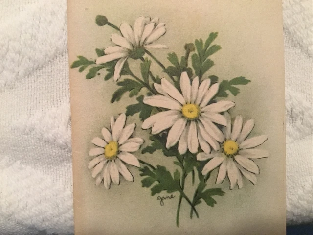 VTG 1946 Greeting Card White Daisies signed Jane Ars Sacra