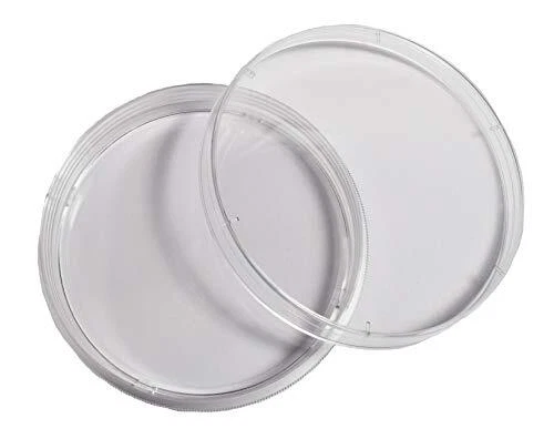 Advangene 100 mm Treated Cell Culture Disc Polystyrene 10/Packs 120 Discs/Case