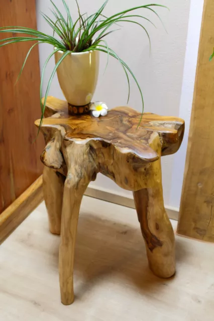 Table D'Appoint Bois de Racine en Teck Tabouret à Fleurs Massif Nature