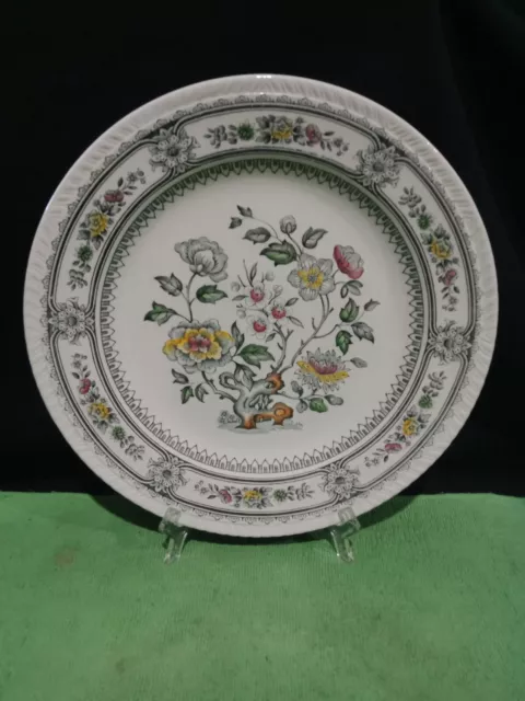 Wood & Sons. Burslem.  Dorset. Dinner Plate. (25.5cm). Made In England.