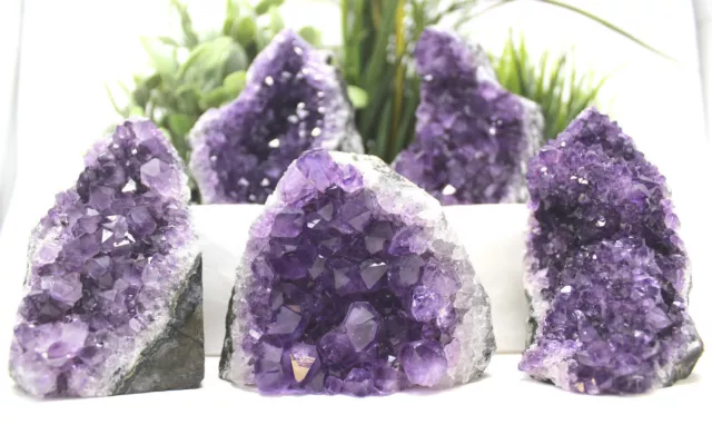 Stunning EXTRA LARGE Amethyst Cut Base Cluster Crystal Quartz Geode 12 oz - 1 lb