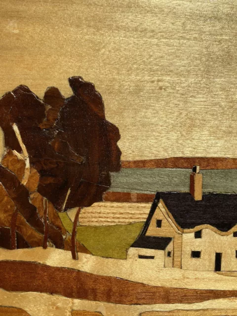 Marquetry Picture, Inlaid Wood Arts And Crafts. Cottage By Lake. 30x40cm. 3