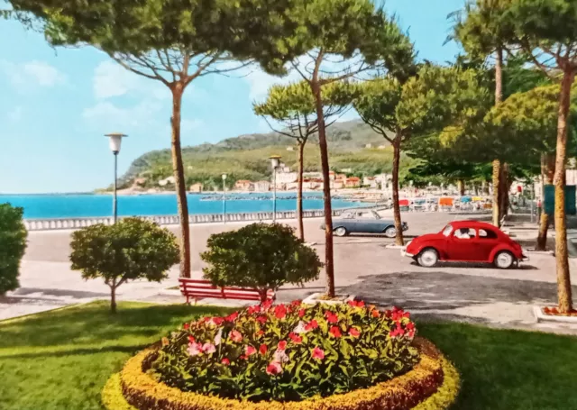 Cartolina - Riviera dei Fiori - Diano Marina - Giardini - 1965 ca.