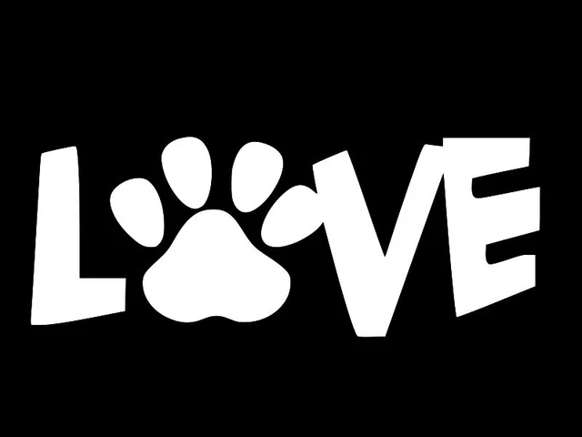Autocollant Chien Sheltie Pour Voiture – Design Réaliste Résistant Eau Et UV – I Love My Sheltie