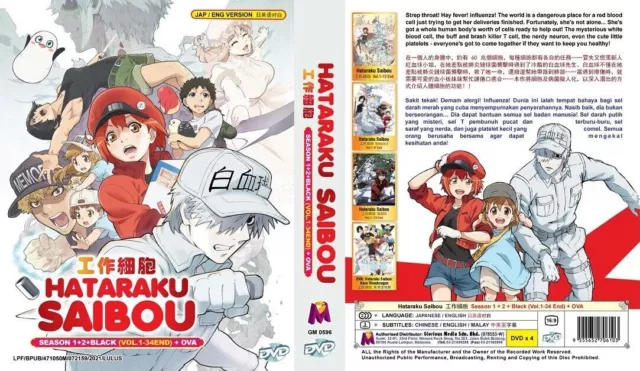 English dubbed of Hataraku Maou-sama!! Season 1+2(1-37End) Anime DVD Region  0