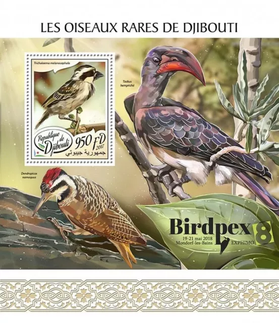 RARE BIRDS (Barbet/Woodpecker/Hornbill) Bird Stamp Sheet #123 (2017 Djibouti)