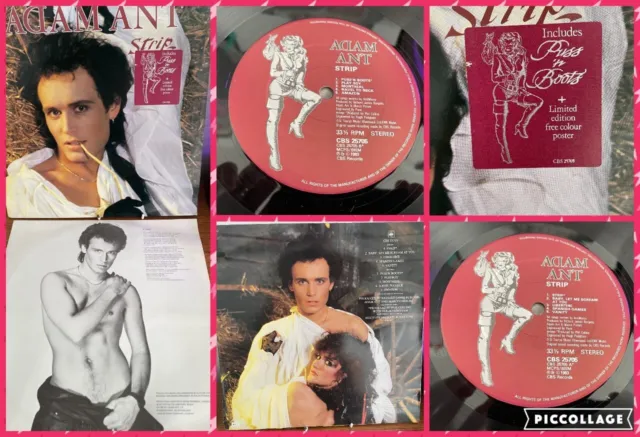 Adam Ant Strip Original 1983 Uk Vinyl Lp Limited Edition