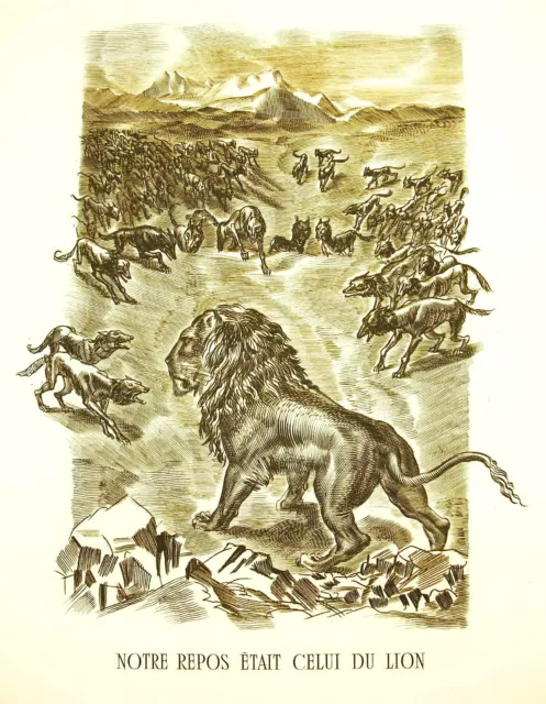 Napoleón Bonaparte Notre Descanso Était Kämpft Del León Voz 22 Jun 1807 Decaris