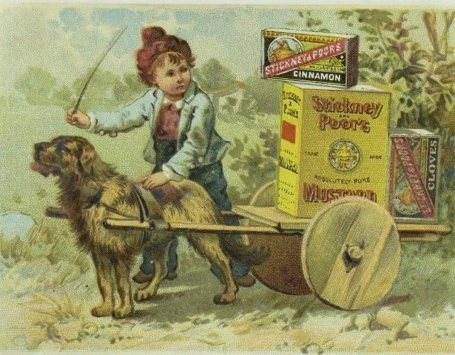 Stickney & poor's Mustards Spices & Extracts Dog Pulling Cart Boy Big Boxes P92