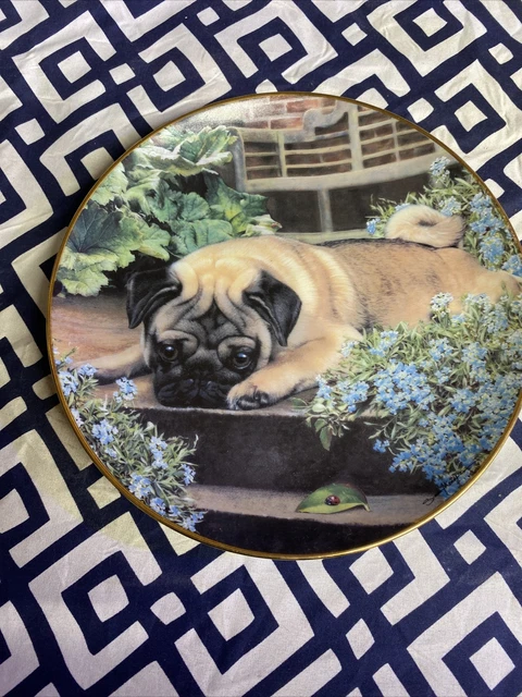 Danbury Mint A Pugs Life Plate