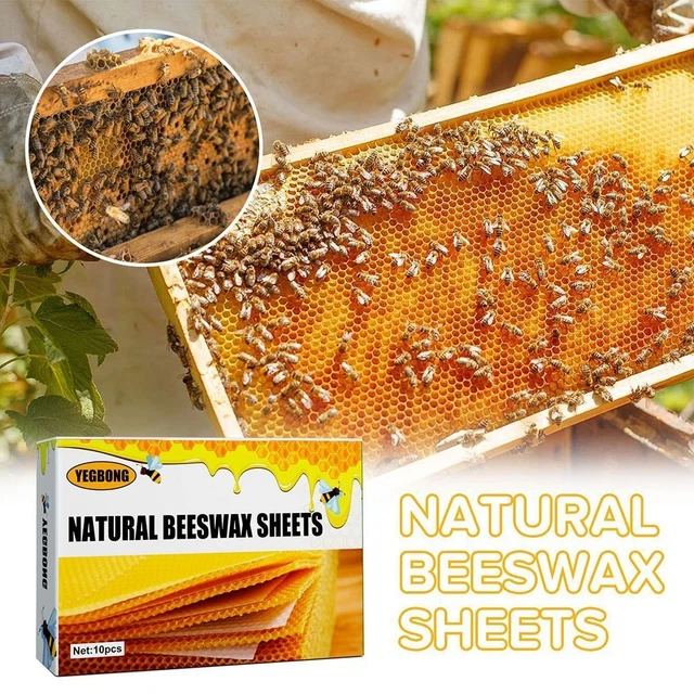 Marco Fundación de Cera de Abeja Shee Panal Hoja Cera Natural de Abeja Platos