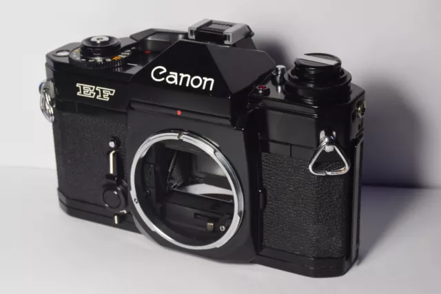 Cámara de pintura negra Canon EF 35 mm SLR (solo cuerpo) - no funciona/repuestos/reparación