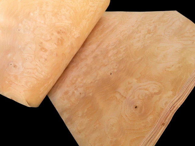 6x FURNIER ESCHE MASER / CLUSTER KNOLLE INTARSIE Möbel HOLZ Edelholz Design