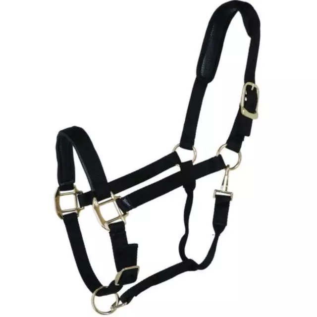 Shires Topaz Nylon Headcollar Black