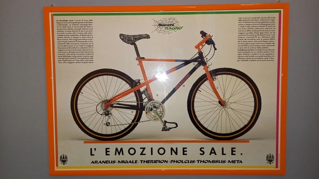MTB BIANCHI RAGNO Araneus Migale Theridion POSTER EUR 13,00