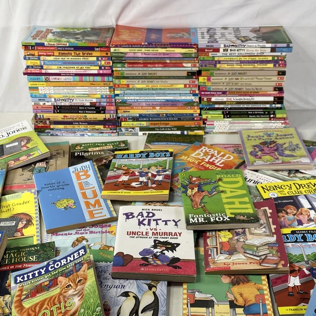 BULK/HUGE LOT OF 300 Children's Kids Chapter Books Random Free