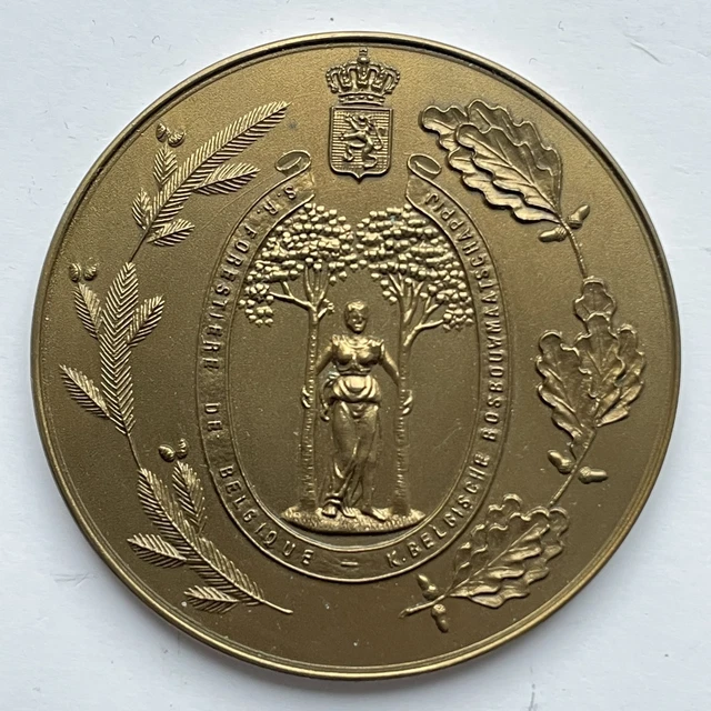 Médaille En Bronze Etienne Marey - Médecin Physiologiste - Paul Richer - 1974