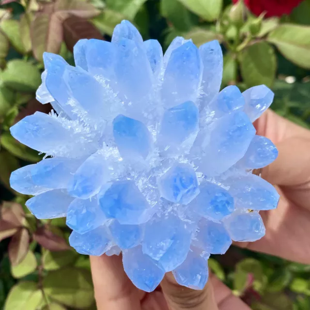 467G New Find sky blue Phantom Quartz Crystal Cluster Mineral Specimen Healing