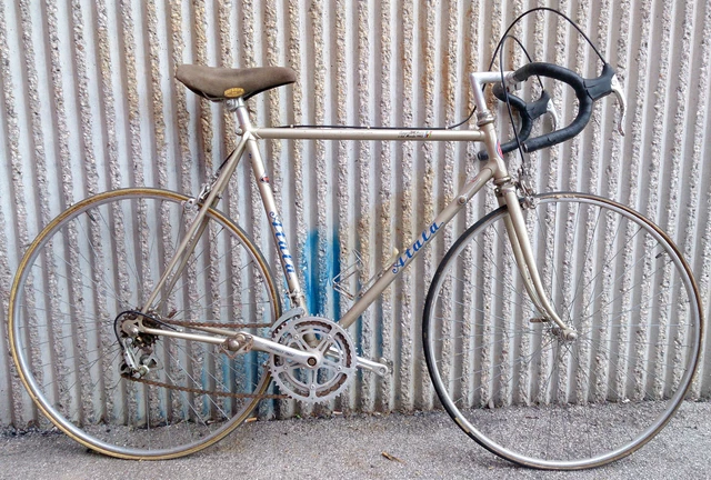 Bicicletta da corsa - La Bancarella