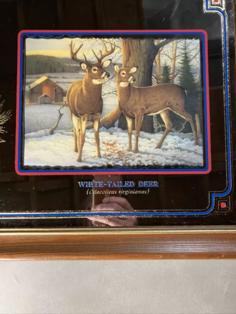 Vintage Old Style Beer White-Tailed Deer Mirror Second in the Wildlife Series 2