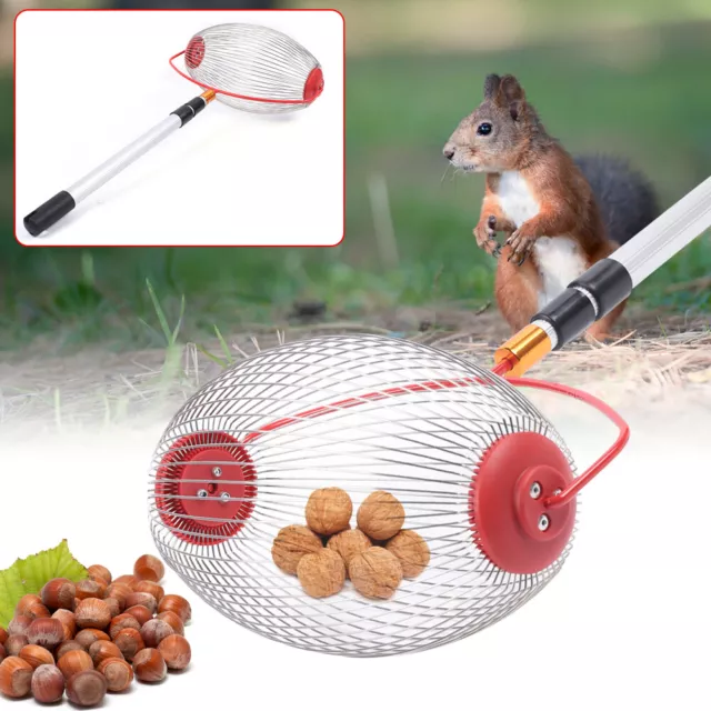 Pecan Picker Nut Gatherer Picking Tool Garden Walnut Picker Retractable USA